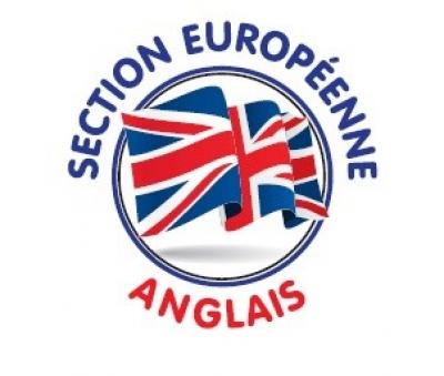 Section EURO - Anglais